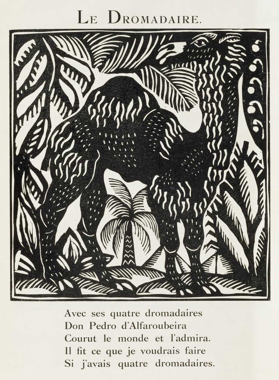 Das Dromedar, Illustration aus 