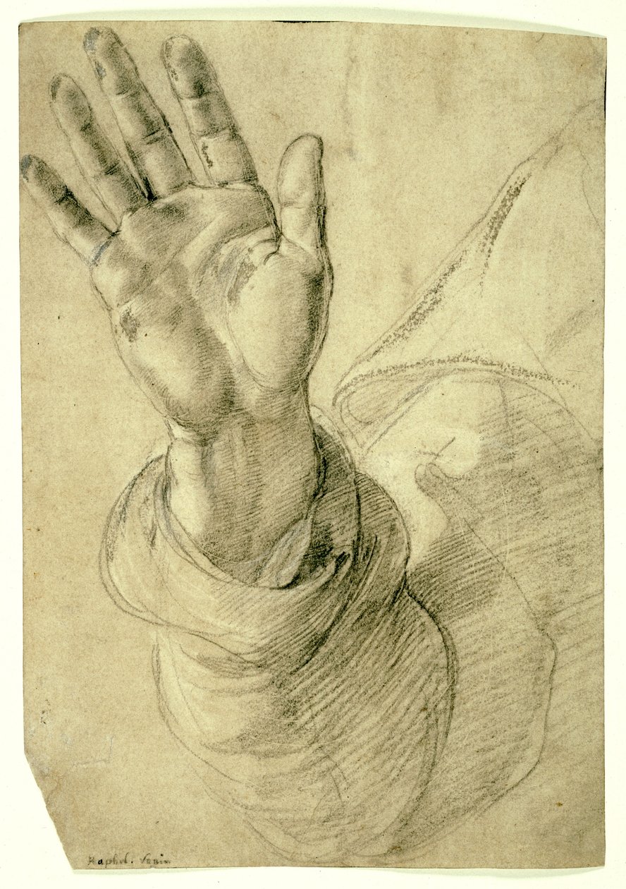 Hochgestellte rechte Hand mit der Handfläche nach außen: Studie für den heiligen Petrus, 1518-20 von Raphael