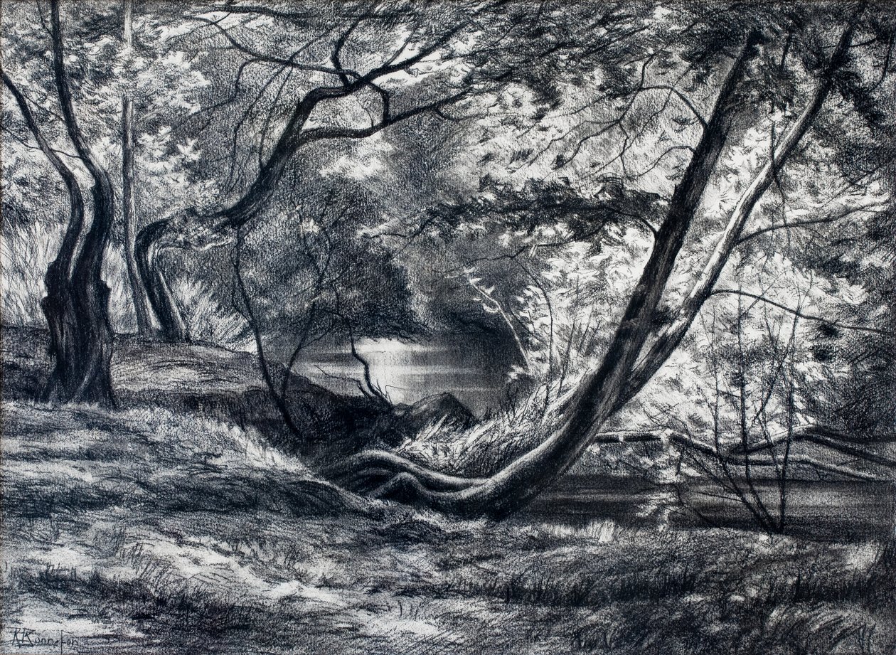 Unterholz mit Fluss von Raymond Bonnefon