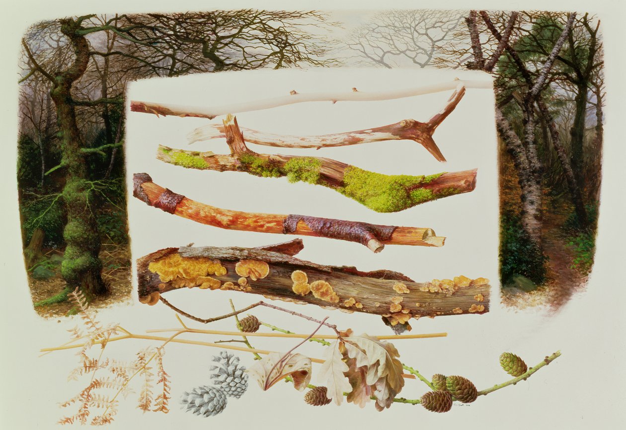 Gegenstände aus dem Winterwald, 2000 von Raymond Booth
