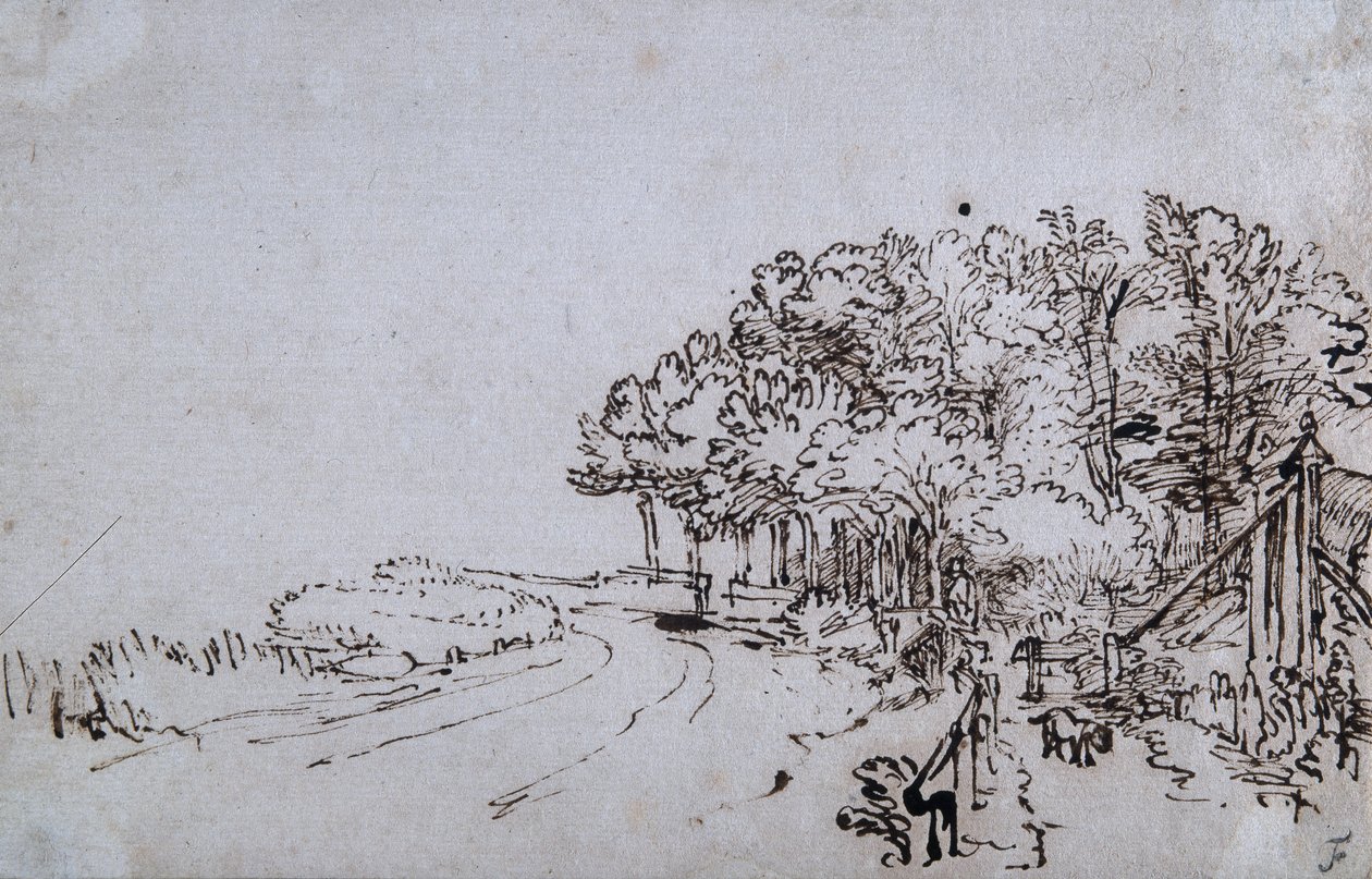 Wäldchen am Kopf des Amsteldijk bei Trompenburg, ca. 1649 von Rembrandt Harmensz. van Rijn