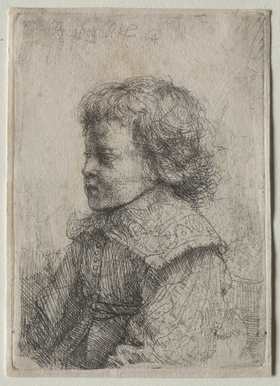 Porträt eines Jungen im Profil von Rembrandt Harmensz. van Rijn