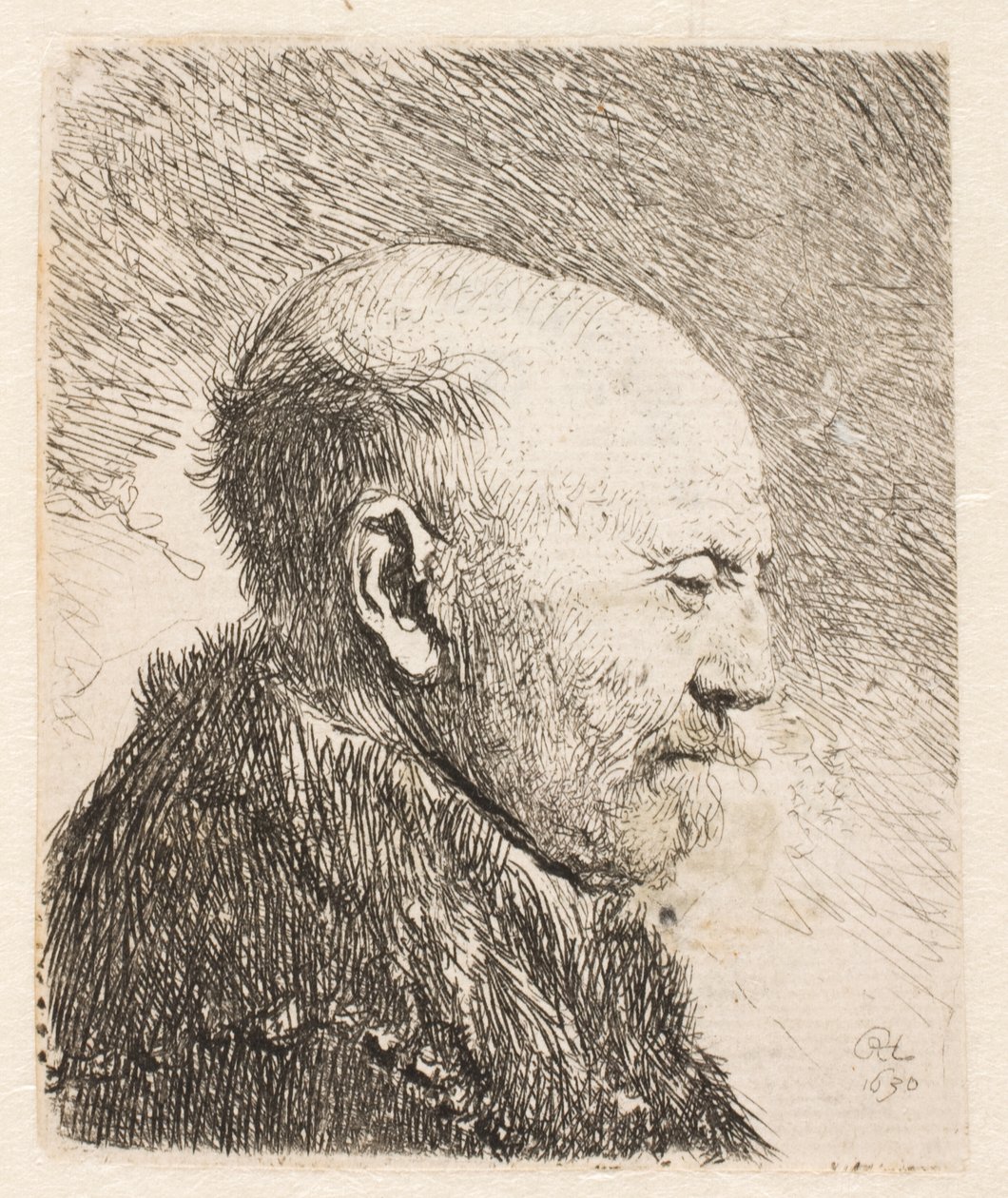 Glatzköpfiger Mann im Profil (Rembrandts Vater?) von Rembrandt van Rijn
