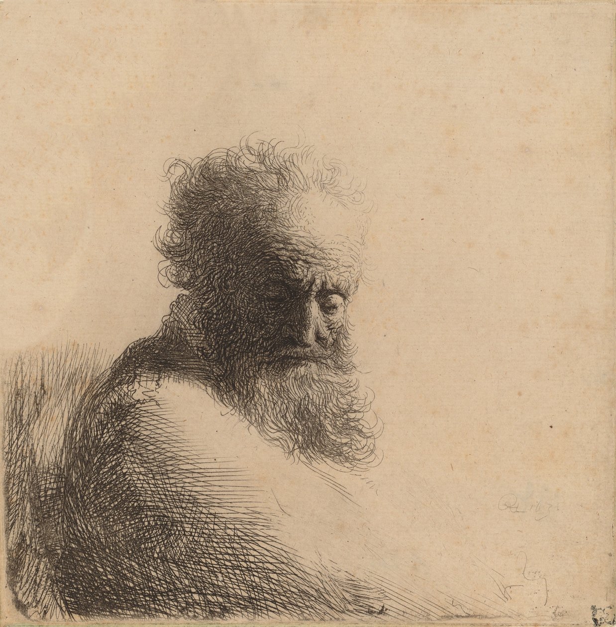 Büste eines alten bärtigen Mannes, der nach unten schaut, drei Viertel rechts, 1631 von Rembrandt van Rijn