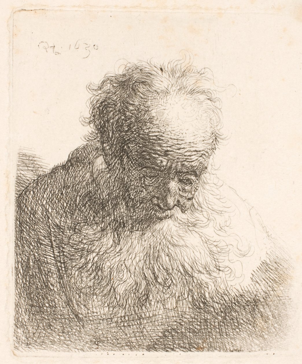 Büste eines alten Mannes mit fließendem Bart: der Kopf nach vorne geneigt: linke Schulter unbeschattet von Rembrandt van Rijn