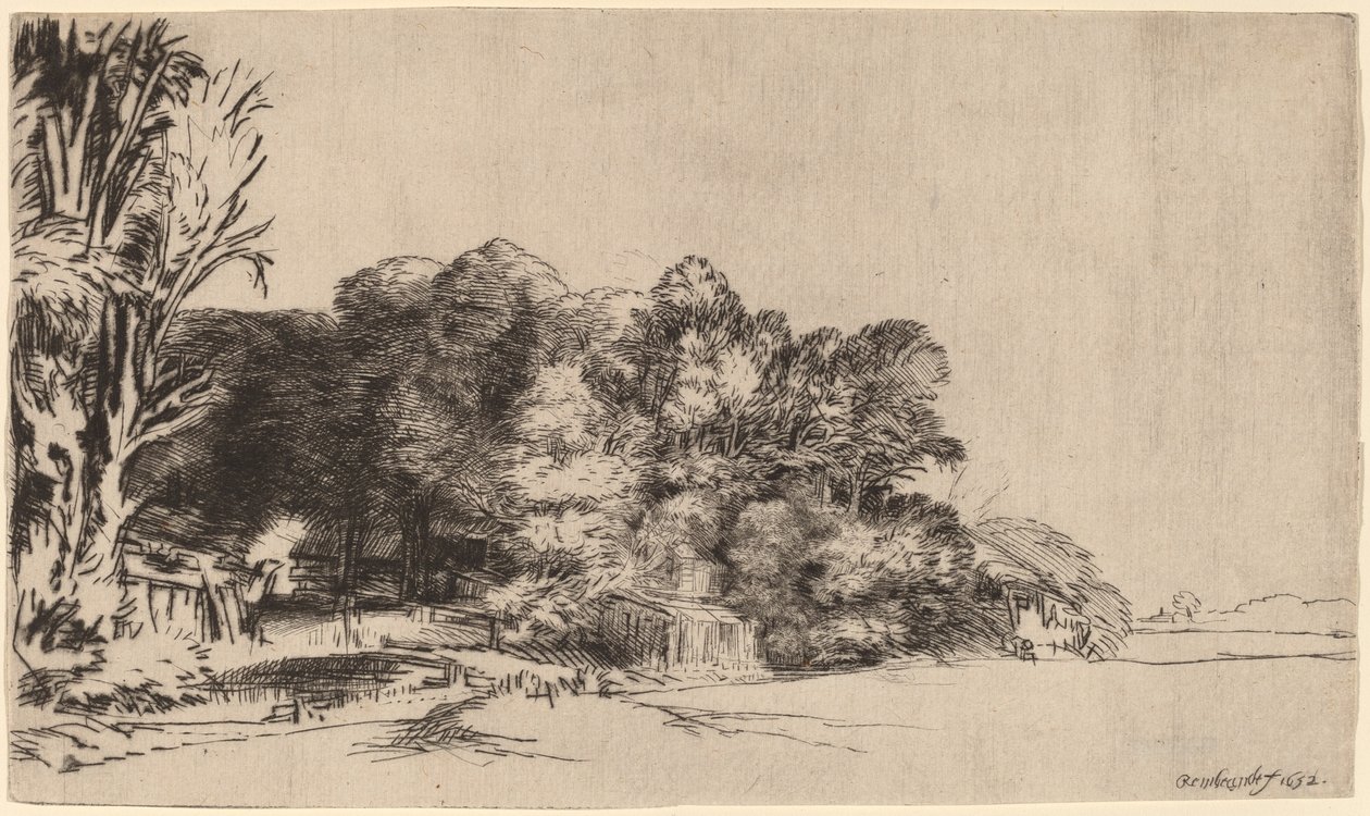Baumgruppe mit Aussicht von Rembrandt van Rijn