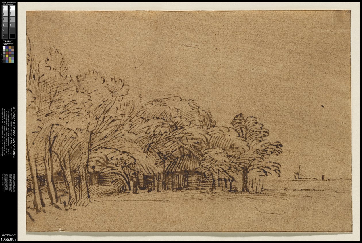 Bauernhof unter Bäumen von Rembrandt van Rijn