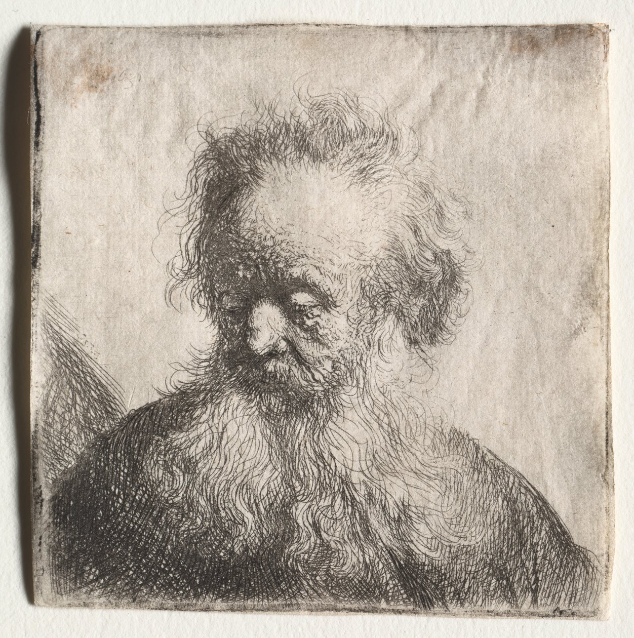 Alter Mann mit fließendem Bart: Büste von Rembrandt van Rijn