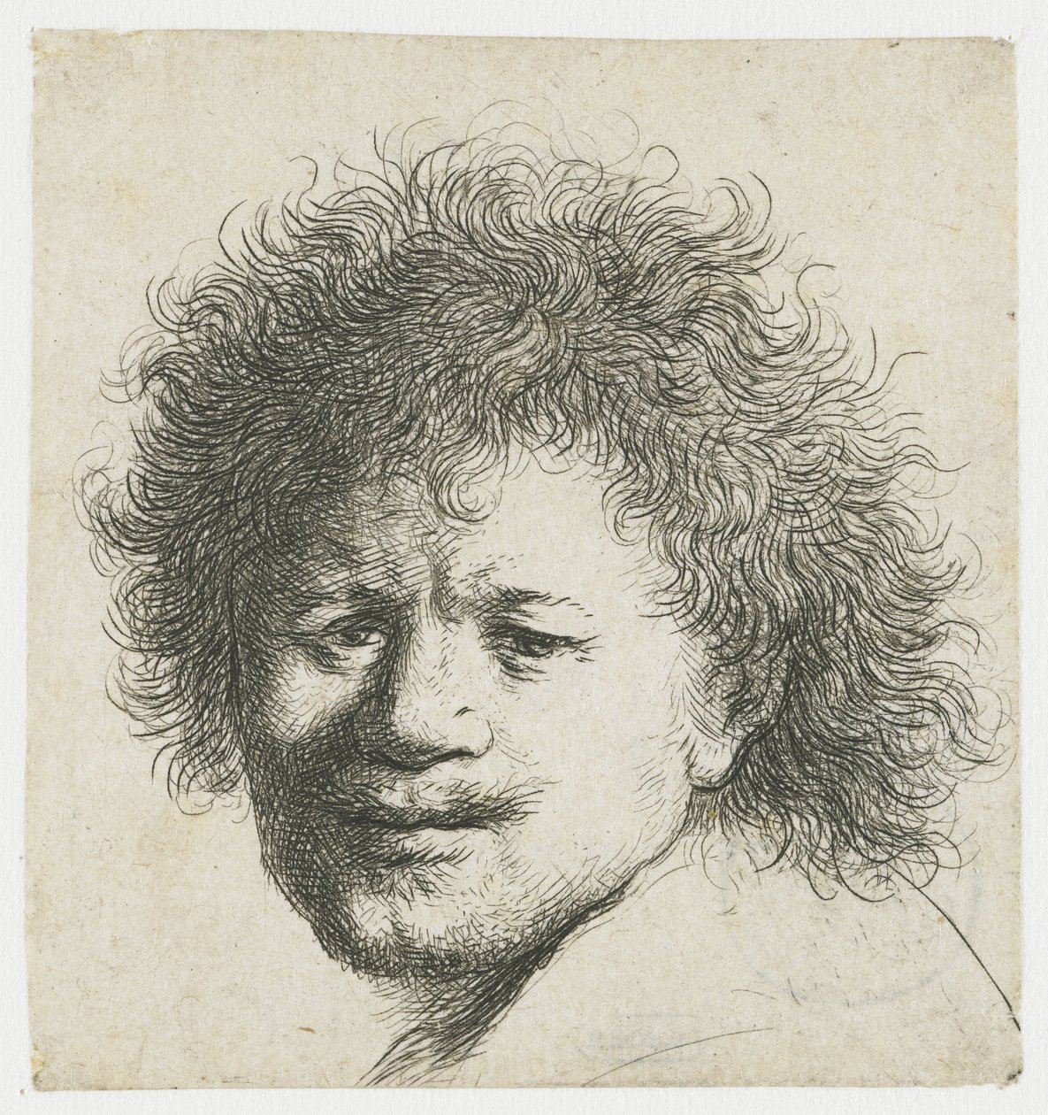 Selbstporträt mit langem buschigem Haar: nur Kopf von Rembrandt van Rijn