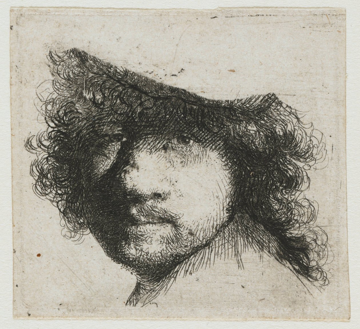 Blatt mit Studien: Kopf des Künstlers von Rembrandt van Rijn