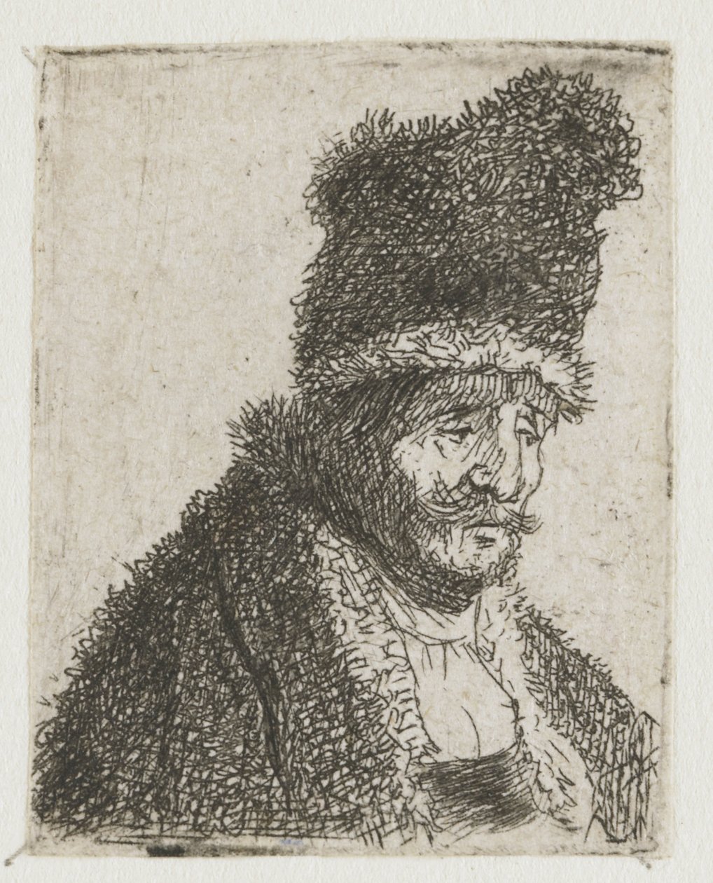 Blatt mit Studien von Männerköpfen: alter Mann im Pelzmantel und hoher Mütze von Rembrandt van Rijn