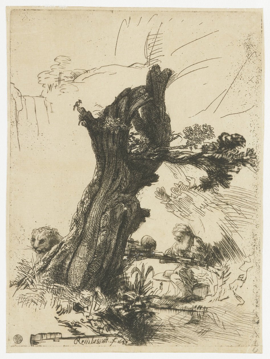 St. Hieronymus neben einer Kopfweide von Rembrandt van Rijn