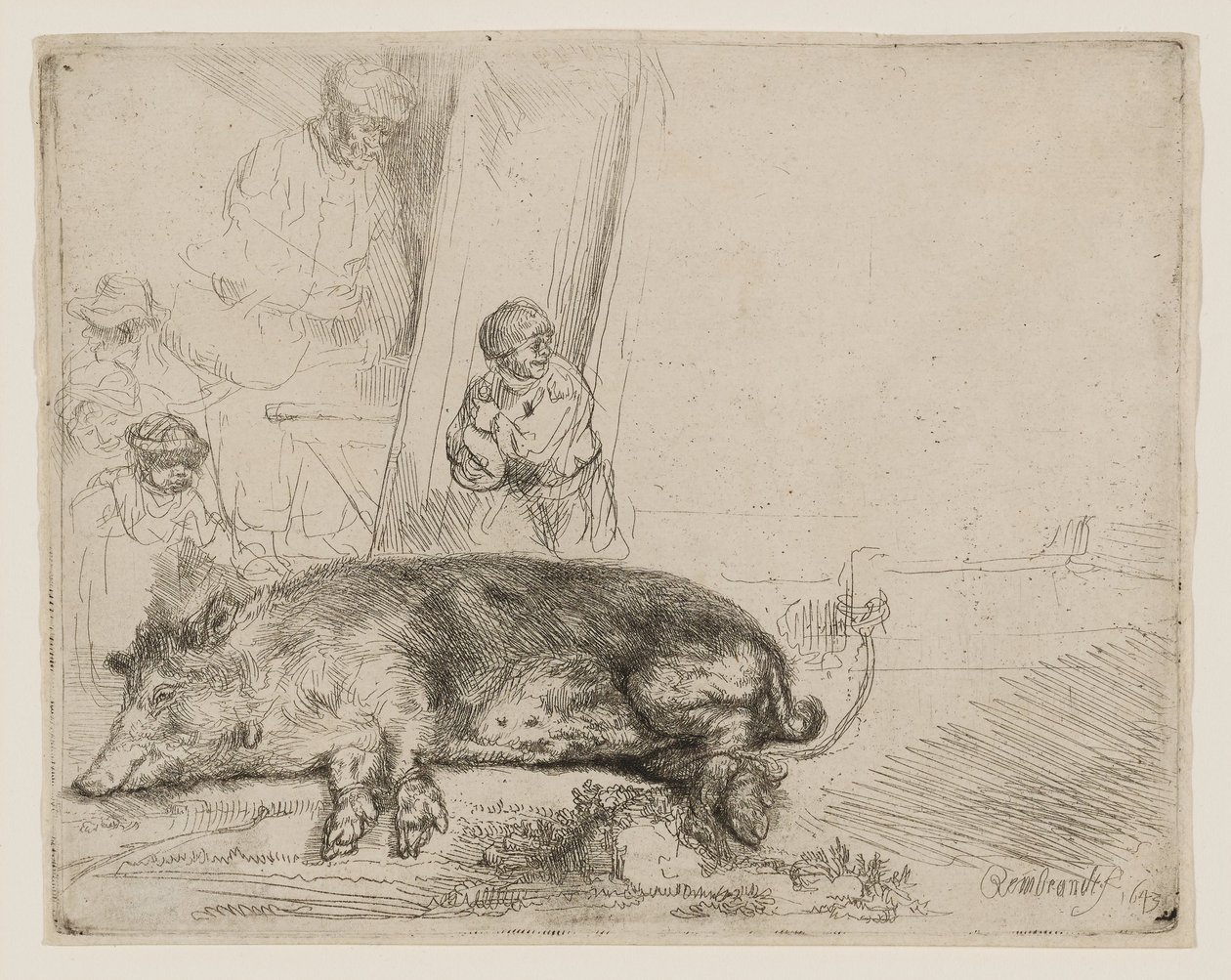 Das Schwein von Rembrandt van Rijn