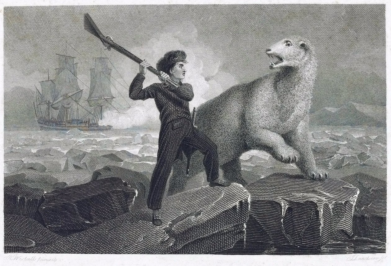 Der junge Horatio Nelson (1758-1805), der 1773 an einer Expedition zum Nordpol teilnahm, kämpfte auf dem Eis gegen einen Eisbären, als seine Waffe klemmte, versuchte er ihn mit dem Kolben zu schlagen, weil er seinem Vater einen Mantel schenken wollte von Richard (after) Westall
