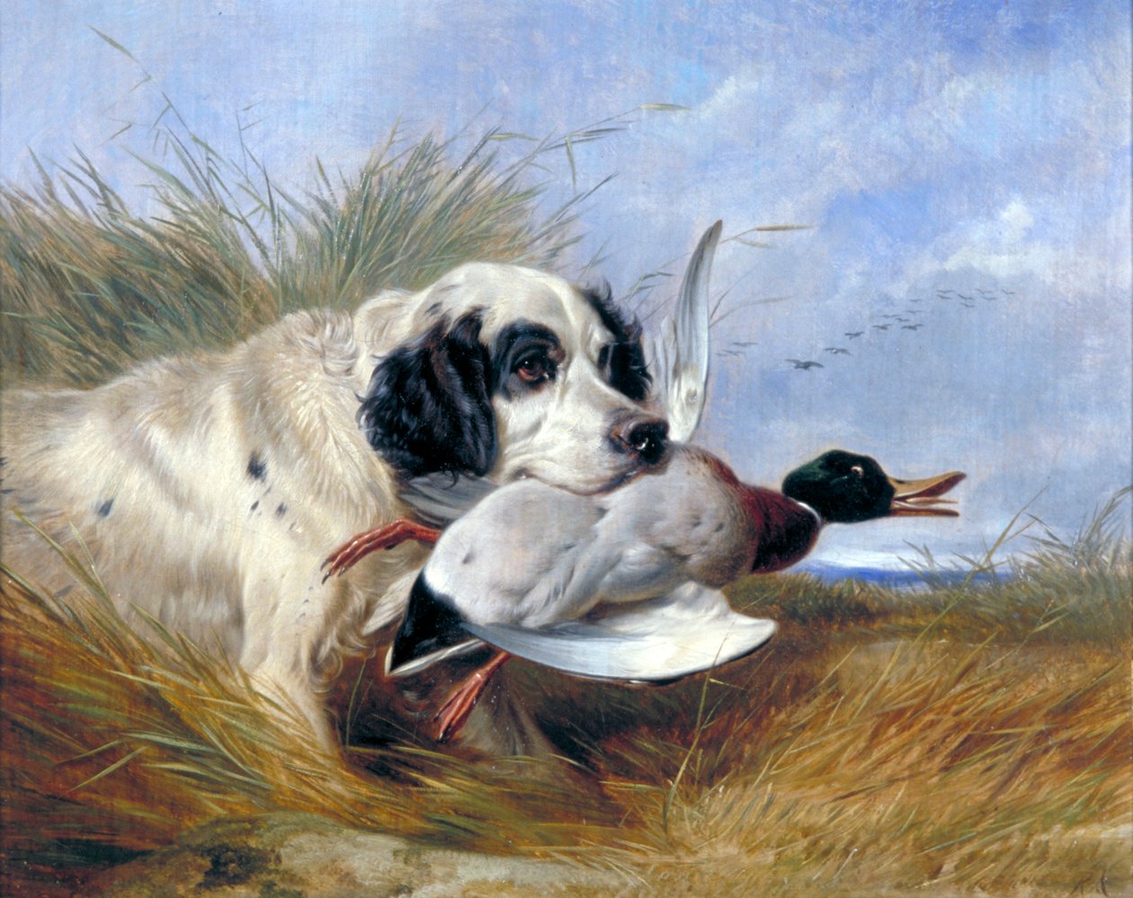 Hund mit Wildente von Richard Ansdell