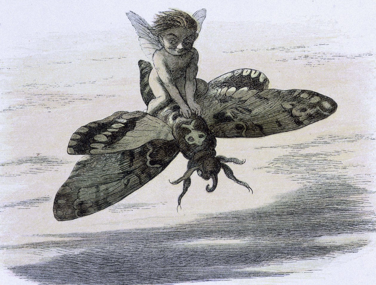 Ein Elf, der auf einem Schmetterling reitet. Illustration von Richard Doyle aus "In Fairy land. Eine Serie von Bildern aus der Elfenwelt" begleitet von einem Gedicht von W Allingham. 1869-1870. The British Library Institution Reference: Shelfmark ID: 1876  von Richard Doyle