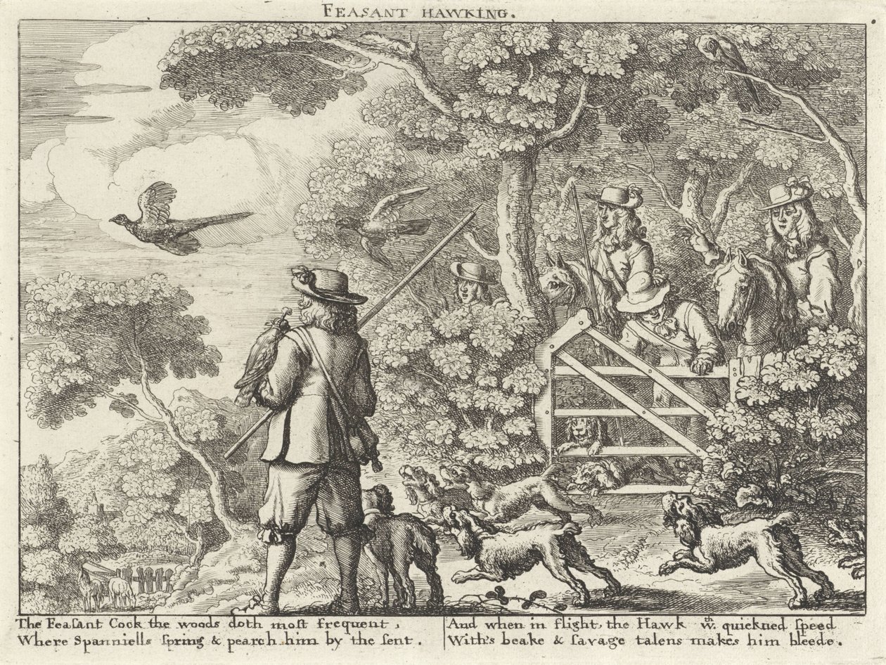 Falkenjagd auf Fasane von Richard Gaywood (possibly)