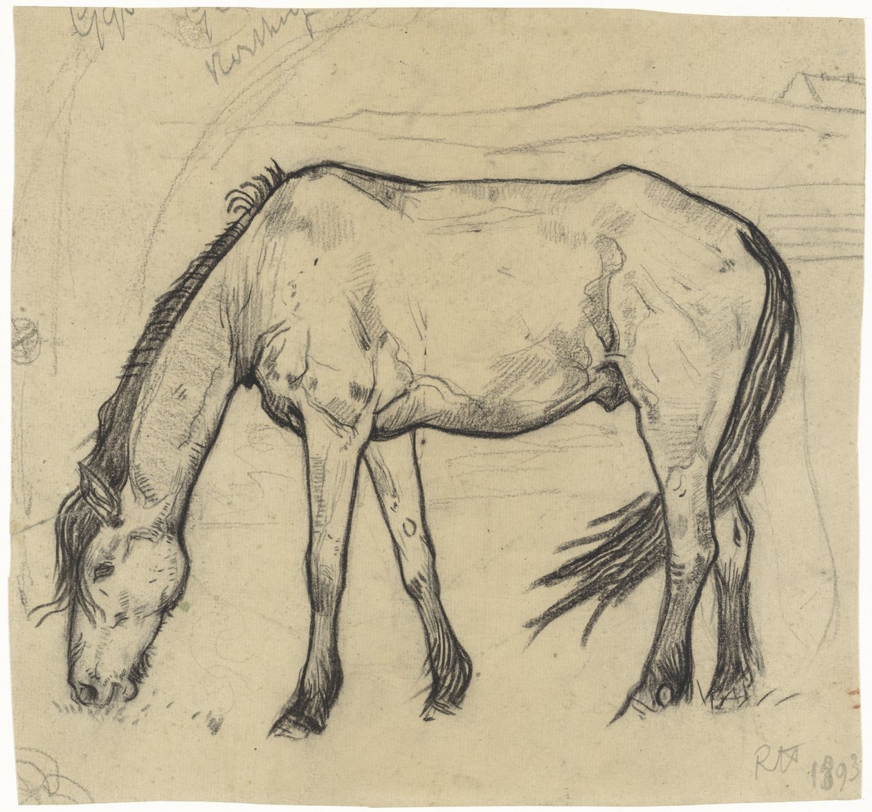 Weidendes Pferd in Noordwijk von Richard Nicolaüs Roland Holst