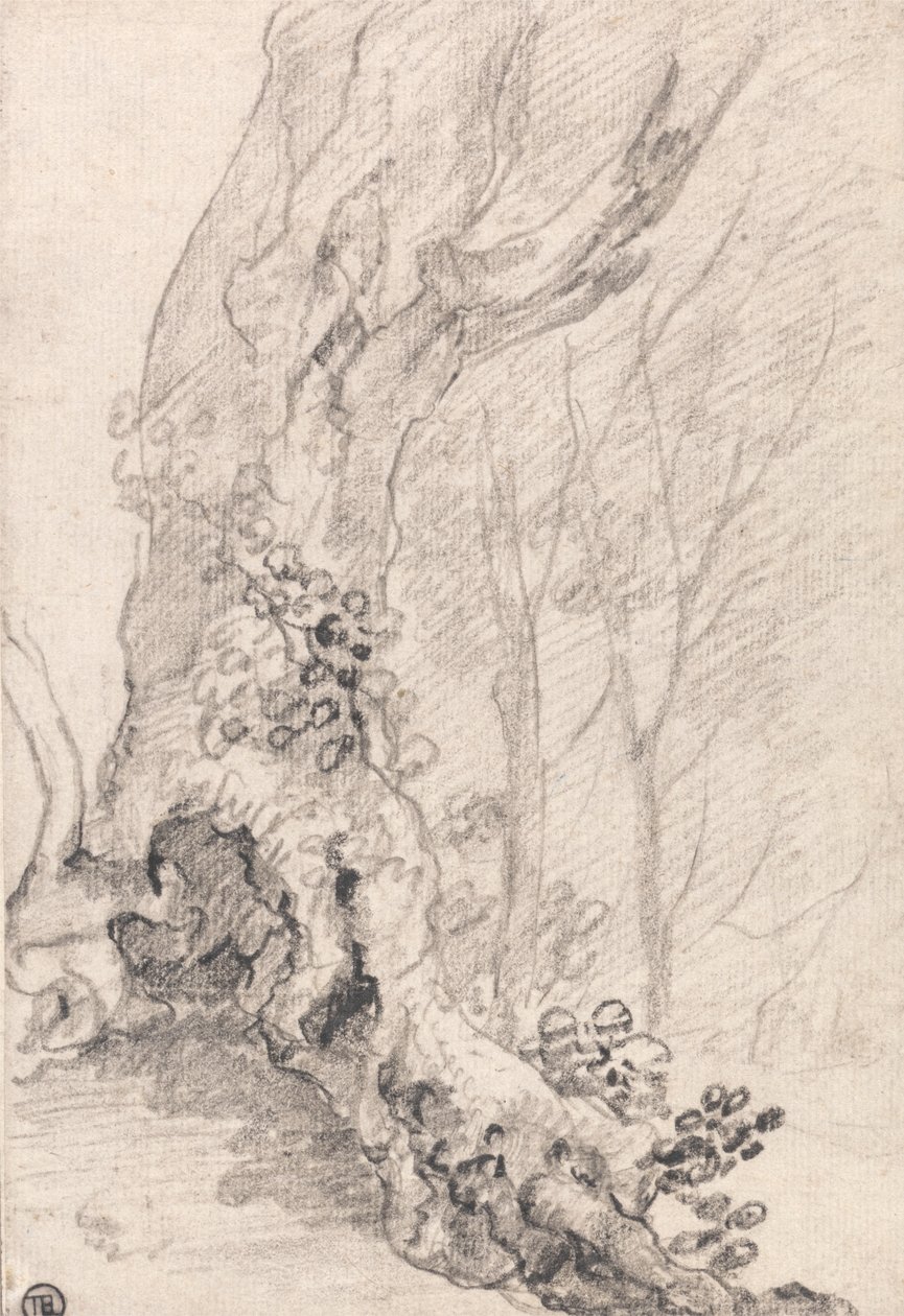 Studie eines alten Baums: Stamm und mit Kletterpflanzen bedeckte Wurzeln von Richard Wilson