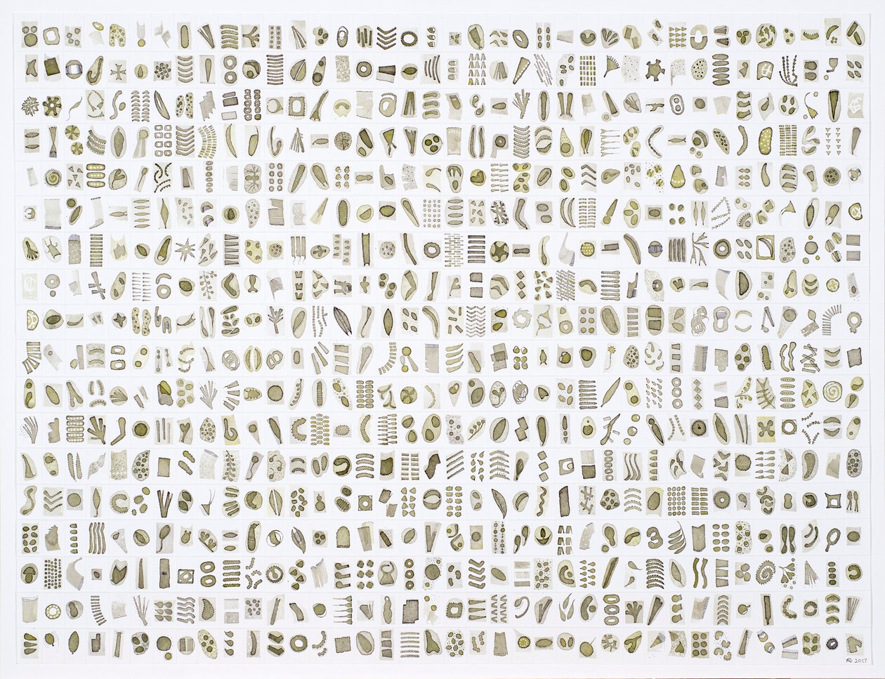 Micrarium Nr.10, 2017 (Tinte auf Papier) von Rika Newcombe