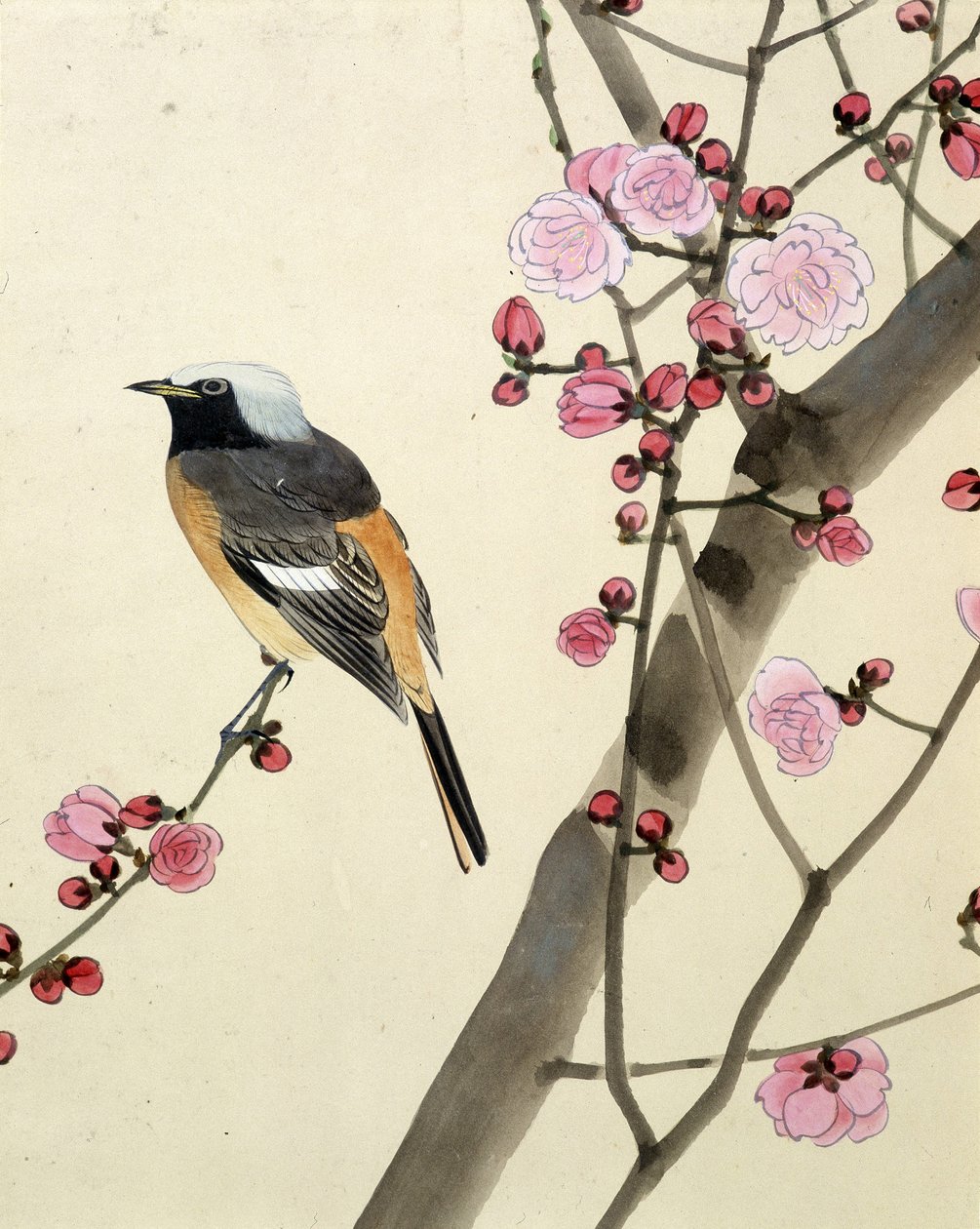 Vogel - Japanische Zeichnung von Riou Chim von Riu Chim