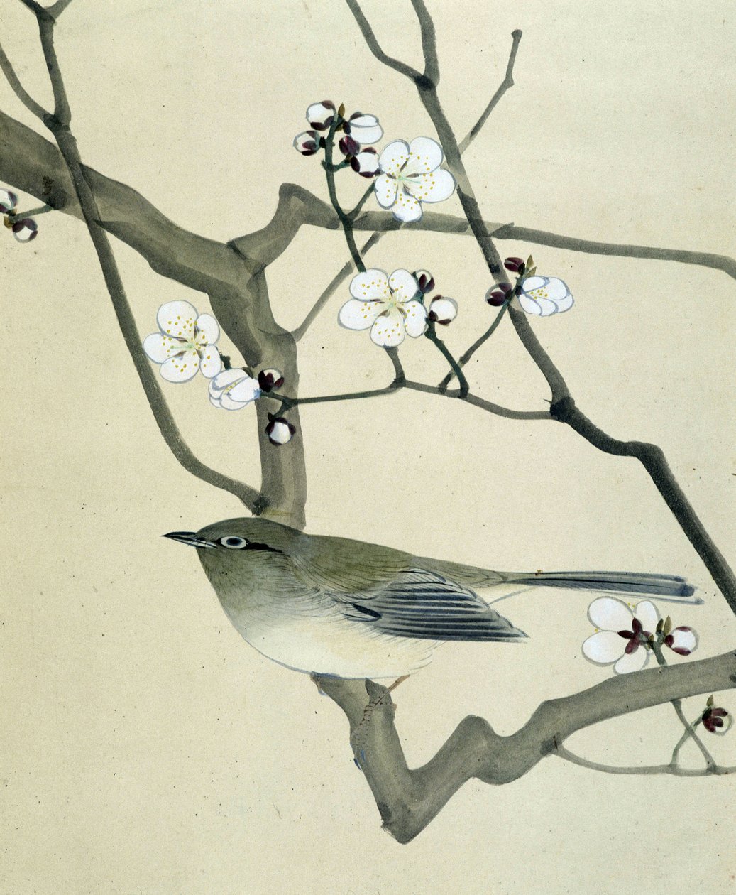 Vogel - Japanische Zeichnung von Riou Chim, spätes 19. Jahrhundert von Riu Chim