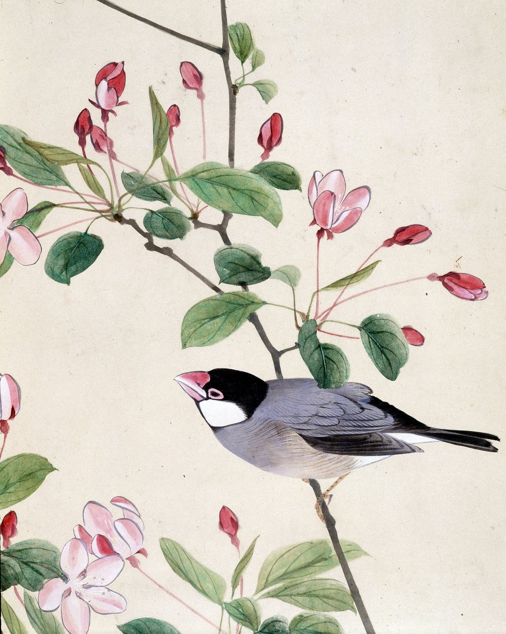 Vogel - Japanische Zeichnung von Riou Chim, späte 19. Jahrhundert von Riu Chim