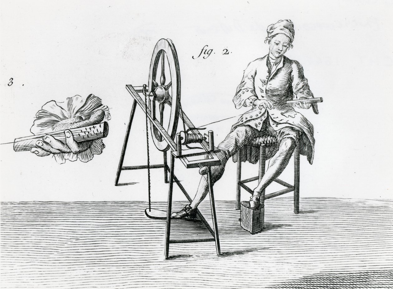 Ländliche Wirtschaft, Baumwolle, aus der Enzyklopädie von Denis Diderot 1713-84 von Robert Benard