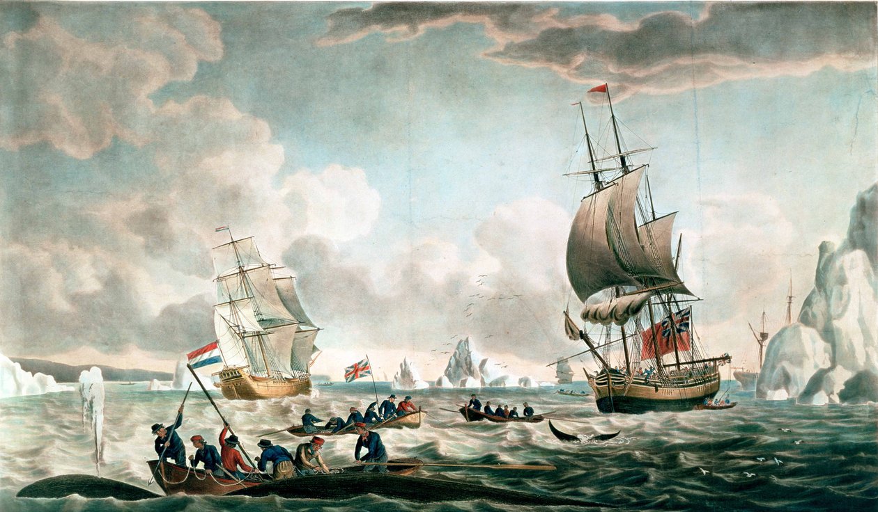 Die Nordwest- oder Davis-Straße-Walfischerei, veröffentlicht von John & Josiah Boydell von Robert Dodd