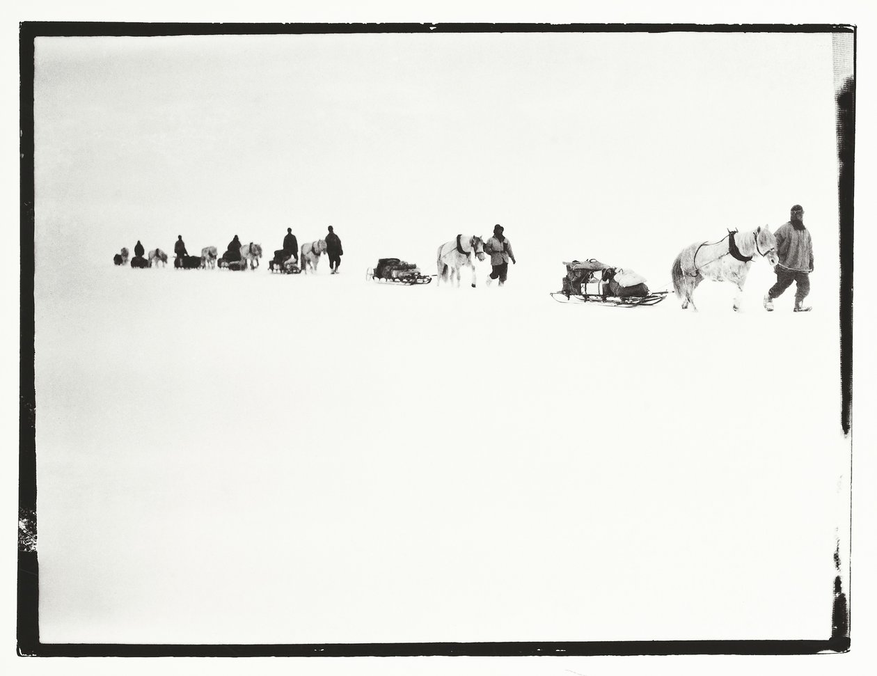 Ponys auf dem Marsch, Große Eisbarriere, 2. Dezember von Robert Falcon Scott