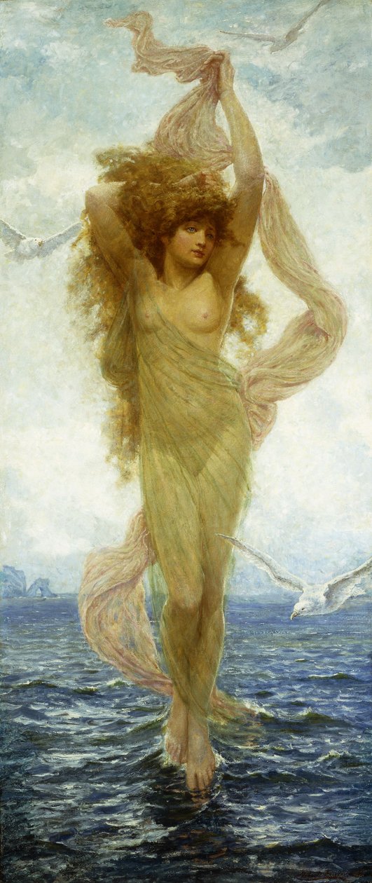 Die Geburt der Venus von Robert Fowler