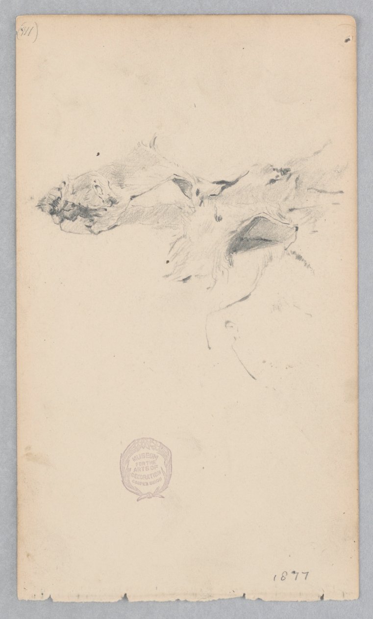 Tigermuster-Teppich von Robert Frederick Blum