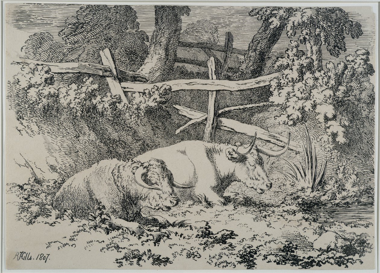Ruhende Rinder, 1807 von Robert Hills