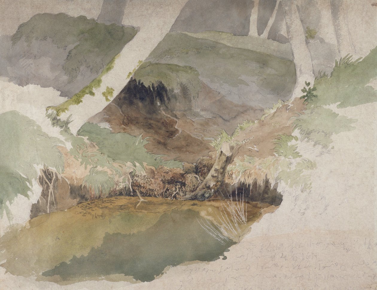 Waldteich von Robert Hills