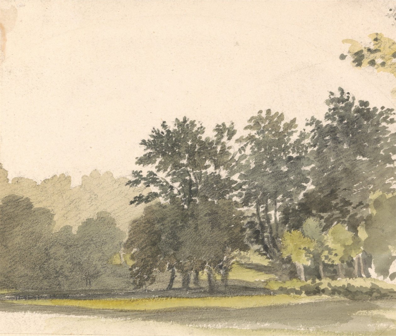 Landschaft mit Bäumen von Robert Hills