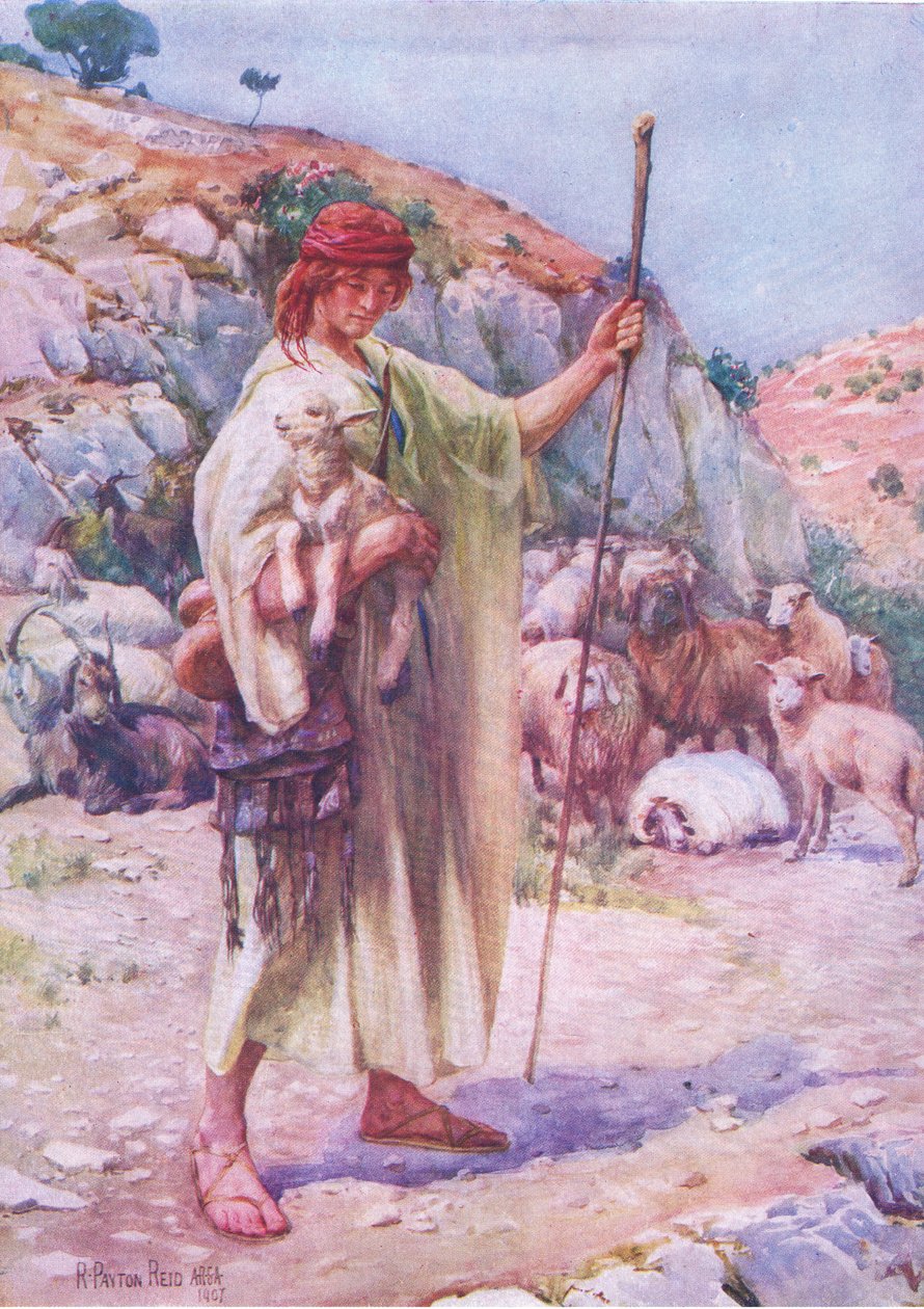David der Hirte, aus dem Bibelbilderbuch, veröffentlicht von Thomas Nelson, ca. 1950 von Robert Payton Reid
