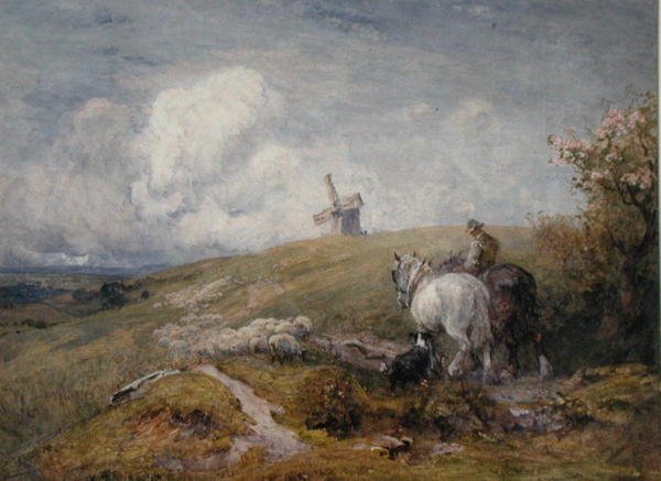 Schafe treiben auf den South Downs von Robert Thorne Waite