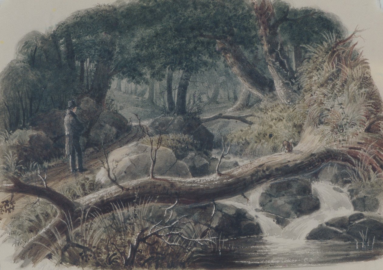 Der Eingang zu einem Wald von Robert Walter Weir