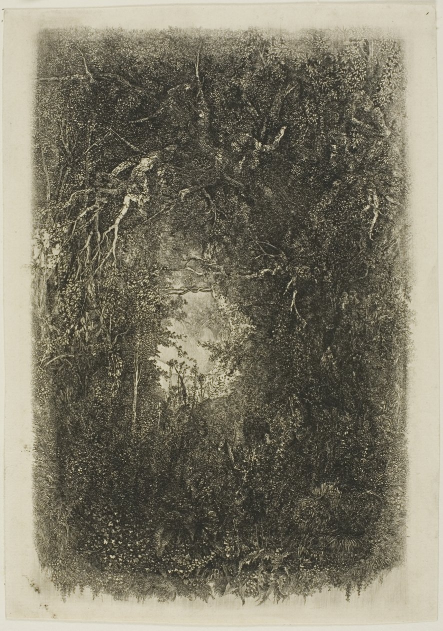 Lichtung im Wald von Rodolphe Bresdin