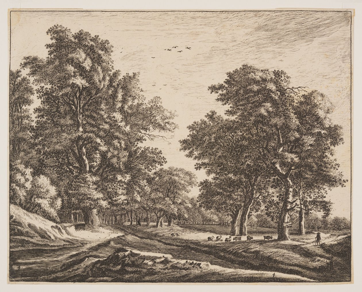 Nr. 4, aus Sechs Ansichten im Wald von Den Haag von Roelant Roghman