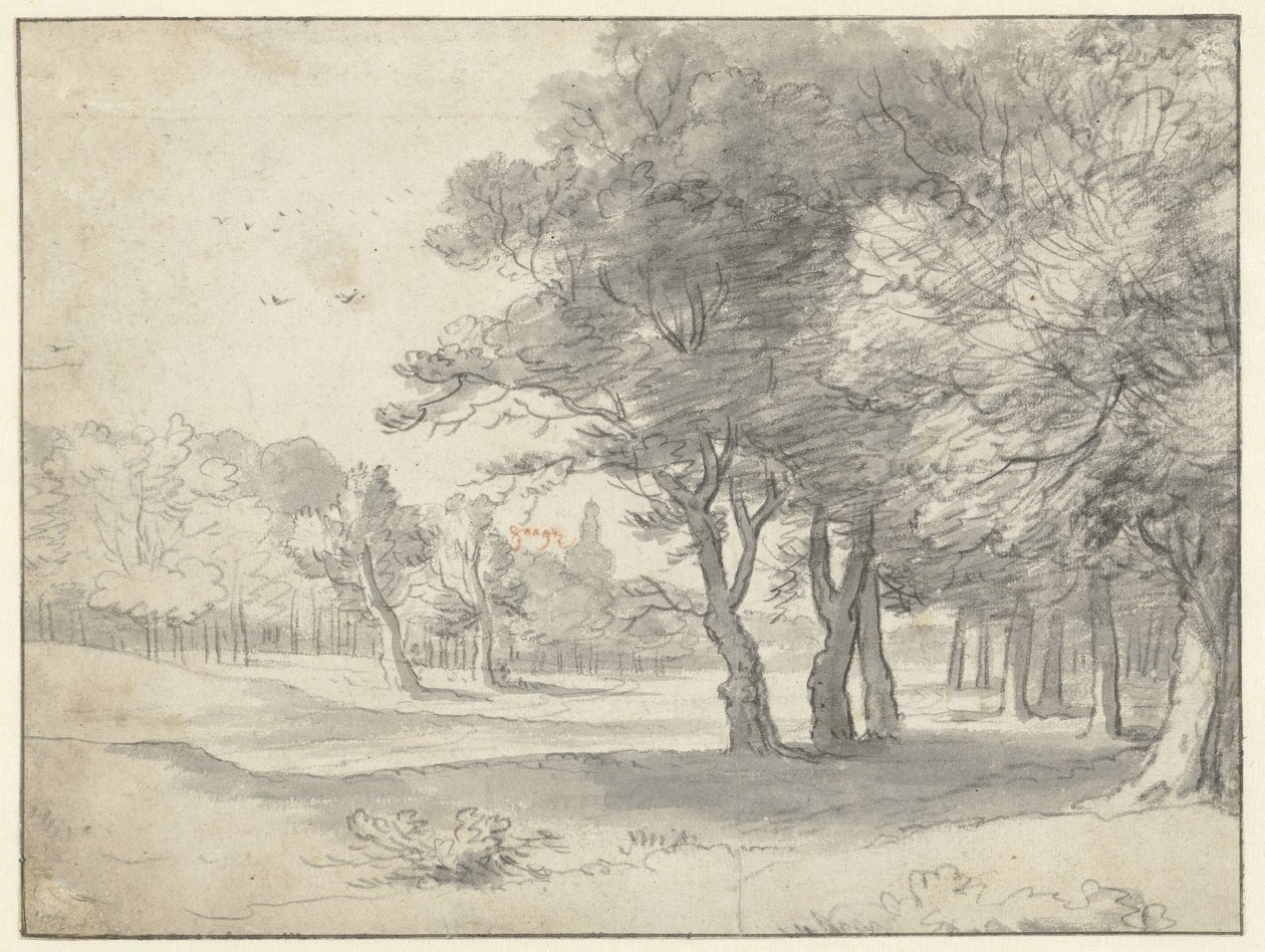 Ansicht im Haagse Bos, mit der Grote Kerk, Den Haag, in der Ferne von Roelant Roghman