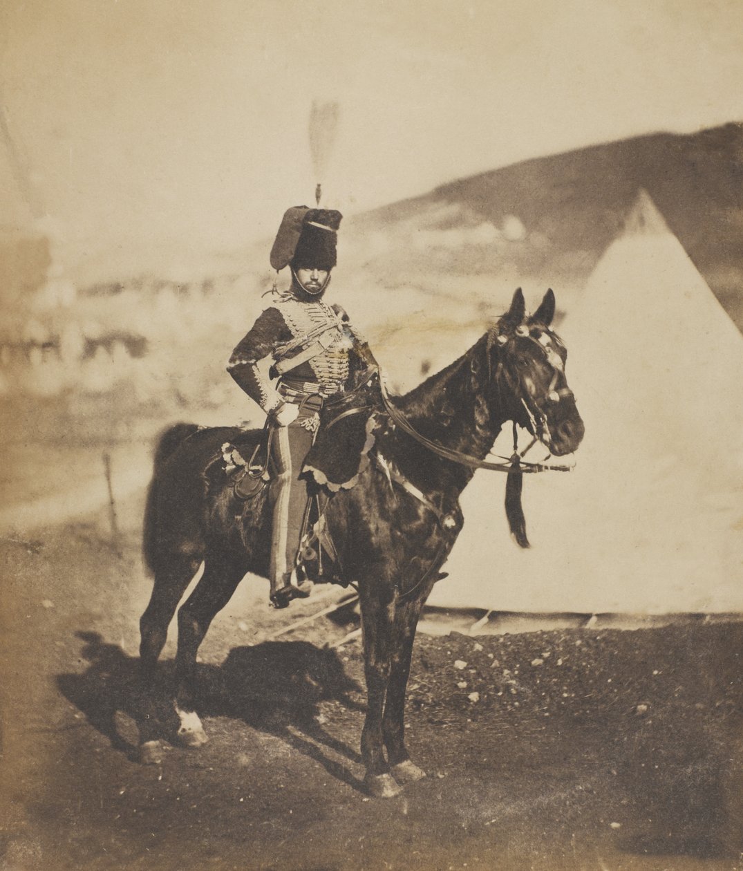 Cornet Henry John Wilkin, 11. (oder Prince Albert