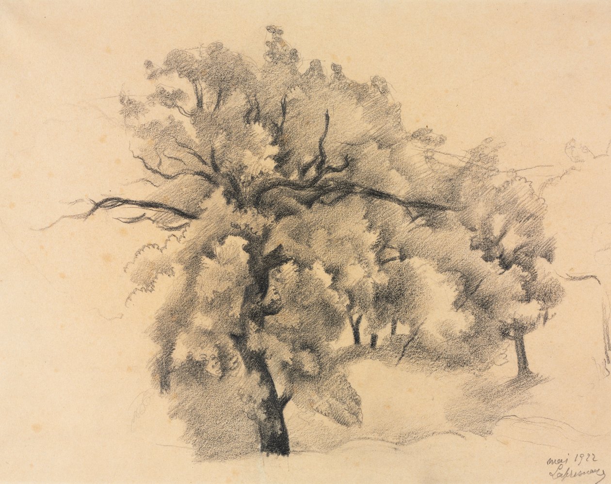 Studie von Bäumen von Roger de La Fresnaye