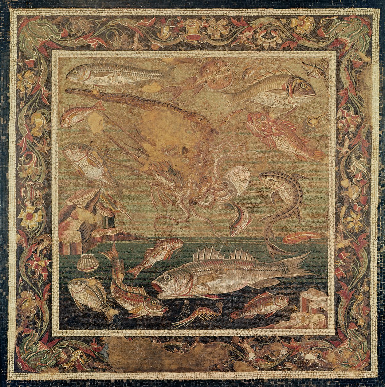 Fische, Mollusken und Krustentiere (Mosaik) von Roman