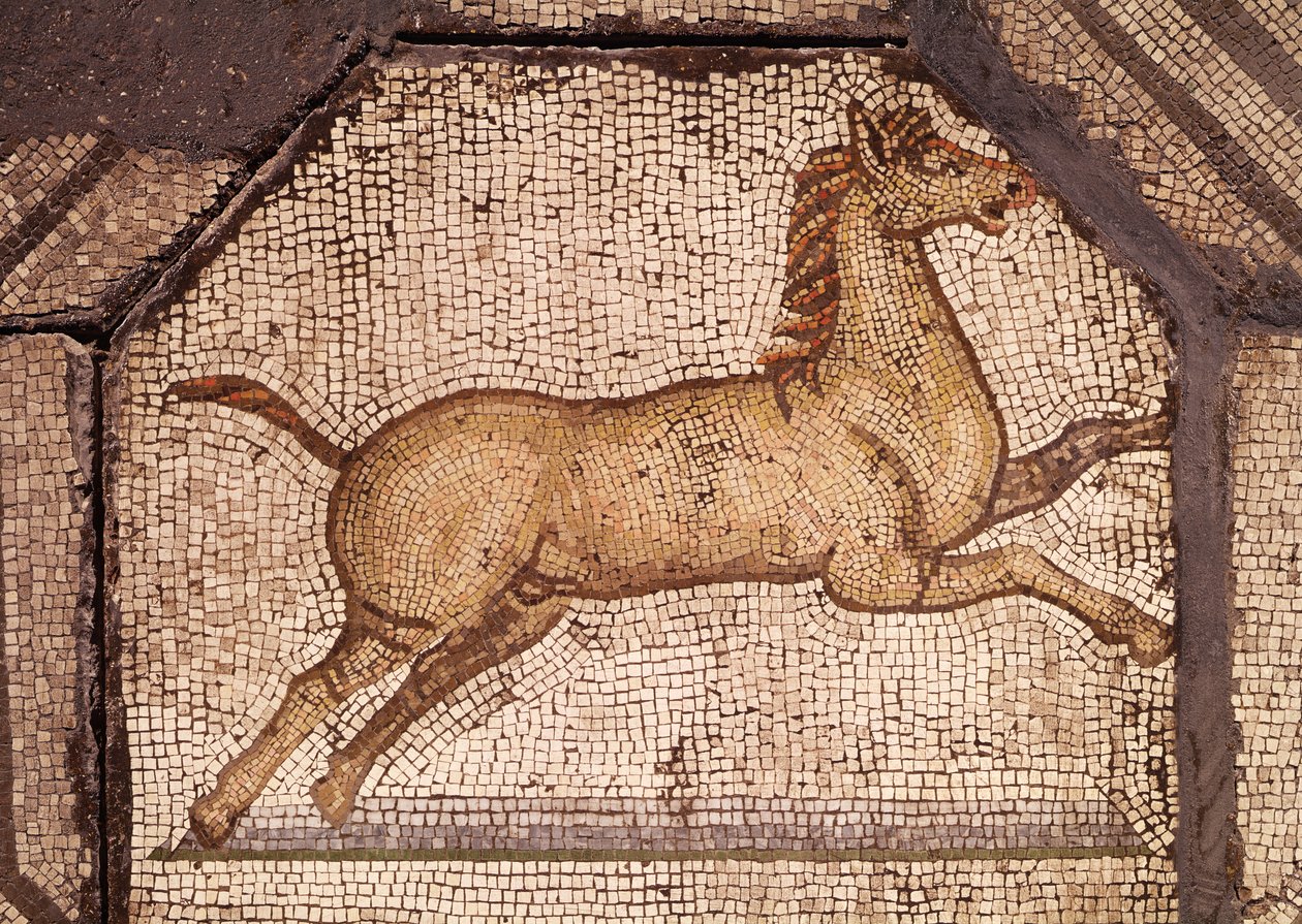 Ein Pferd, Detail aus Orpheus bezaubert die Tiere von Roman