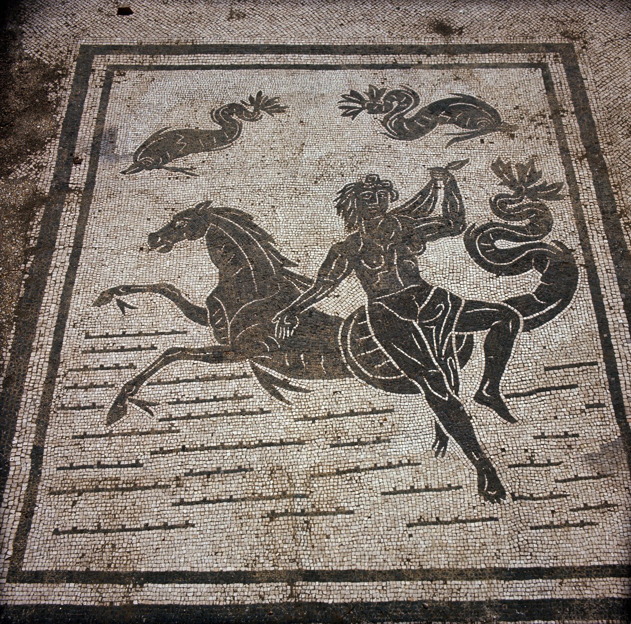 Antikes Ostia. Platz der Korporationen. Mosaik der Seefahrerkorporation von Sabratha. Eine Nymphe und ein Meeresross. von Roman
