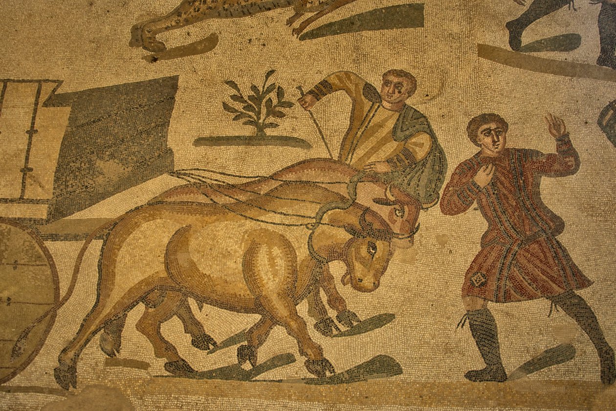 Halle der großen Jagd, Bodenmosaik Jagdszene, Villa Romana del Casale, Piazza Armerina, Sizilien, Italien von Roman