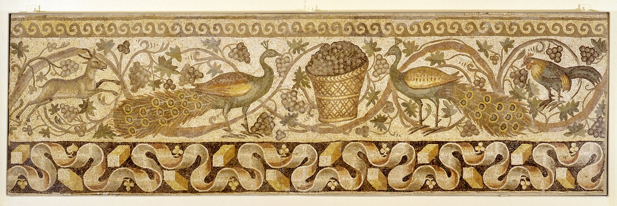 Mosaik einer Weinrankenbordüre mit Pfauen, Antiochia, 526-540 von Roman