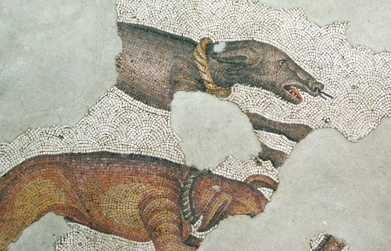 Unbekanntes Bild von Roman