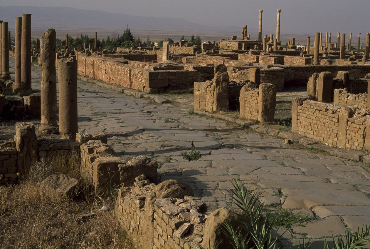 Ansicht einer Straße, Hochimperiale Periode (27 v. Chr.-395 n. Chr.) von Roman Imperial Period
